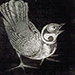 Ryonosuke Shimomura Gallery
